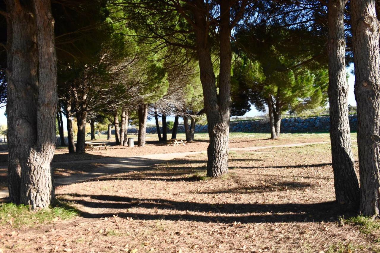 La Solana Villa Saint-Laurent-de-la-Salanque Eksteriør billede